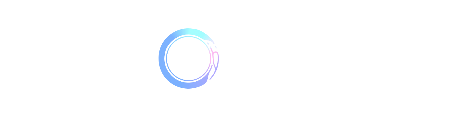 hyv_logo